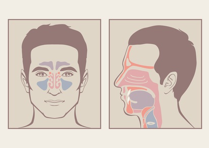 Nasal pillows deviated septum on sale