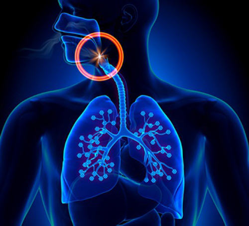 Severe Sleep Apnea Sleep Apnea Guide