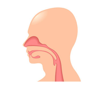 oropharyngeal exercises